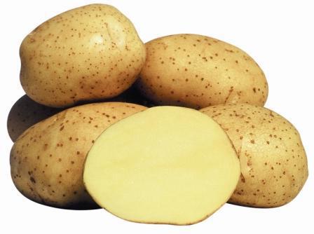 Vineta je druh zemiakov. Popis, fotka
