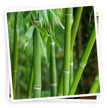 Lôžkoviny z bambusu - dobré a praktické