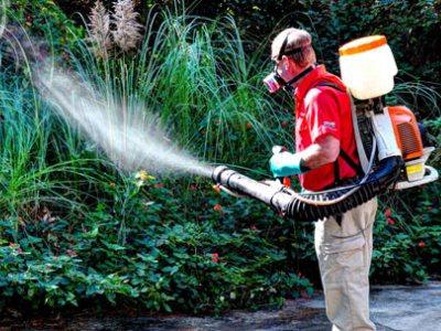 Ošetrenie miest z komárov - tipy pre záhradníkov
